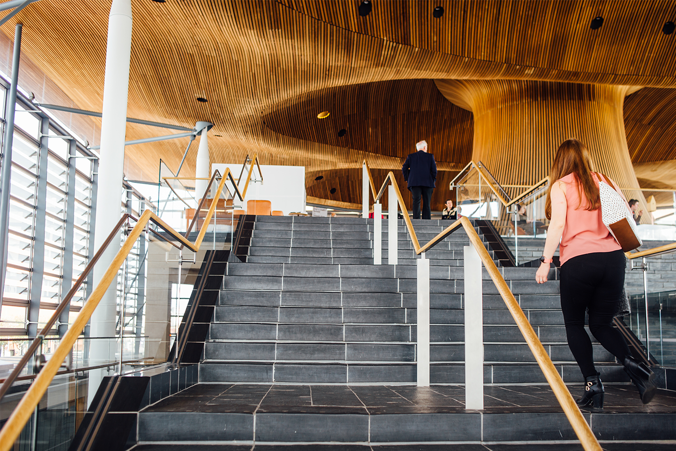 Y Senedd